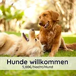 Der Fuchsbau - Auszeit Harz - 3 Hunde Willkommen - Eingezäunter Garten Apartment Bad Sachsa