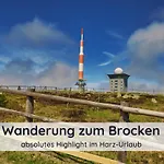 Der Fuchsbau - 