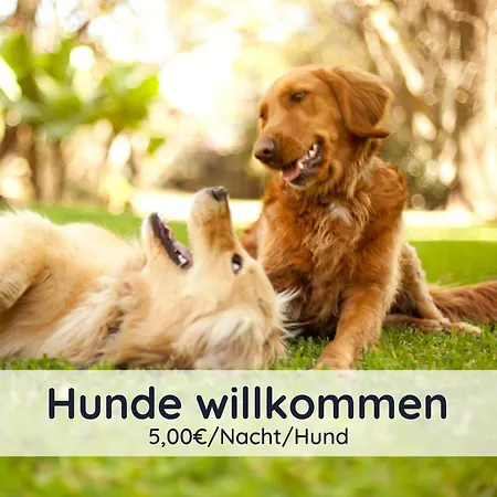 Der Fuchsbau - 
